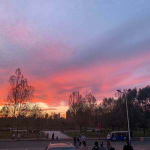 法国复古怀旧毛
